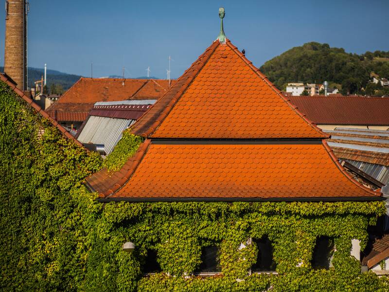Ein turmähnliches Gebäude mit Spitzdach unten von Efeu überwuchert